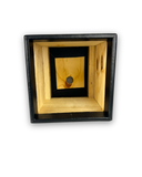 Radio Box, 1 Radio, 5  Equalizers (Empty)